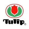 Tulip (6)